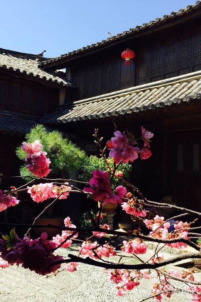 Lijiang Merry Inn Exterior photo